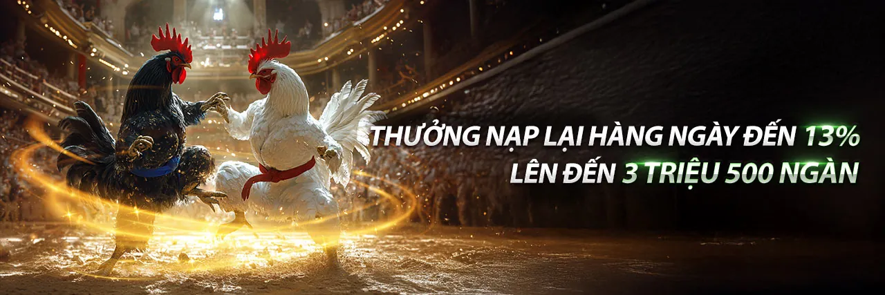 Đá gà trực tuyến bocpc3